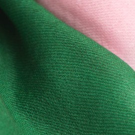 Shaded pashmina shawl in green and pink
