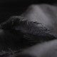 Black giant shawl in cashmere 200 x 140 cm