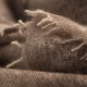 Brown square cashmere scarf