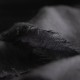 Black square cashmere scarf