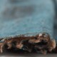 Cashmere shawl in blue and brown spray pattern