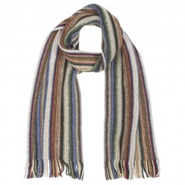 Striped multi coloured scarf